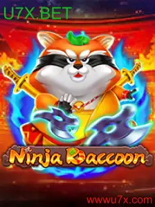 NinjaRaccoon